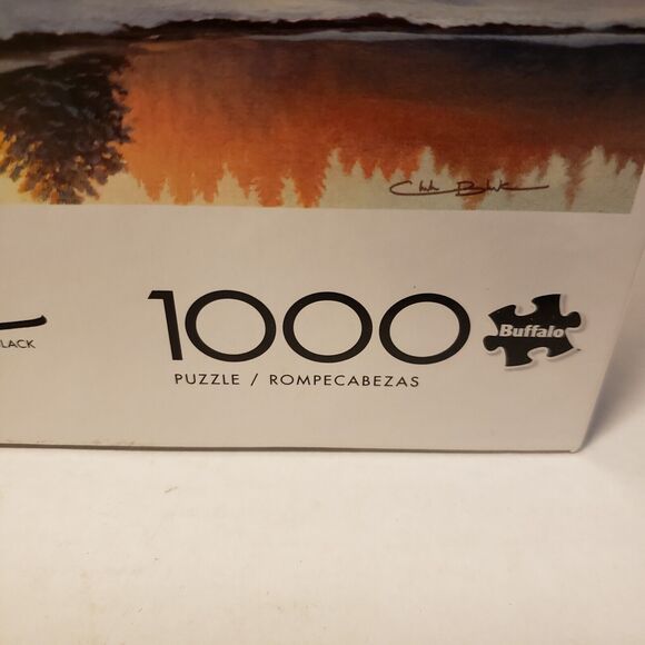 Lot 2  Puzzles 1000 piece each w/ Posters Path of Totality, One Quiet Morning - Picture 13 of 16